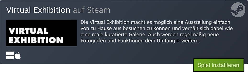 Virtual Exhibition auf Steam